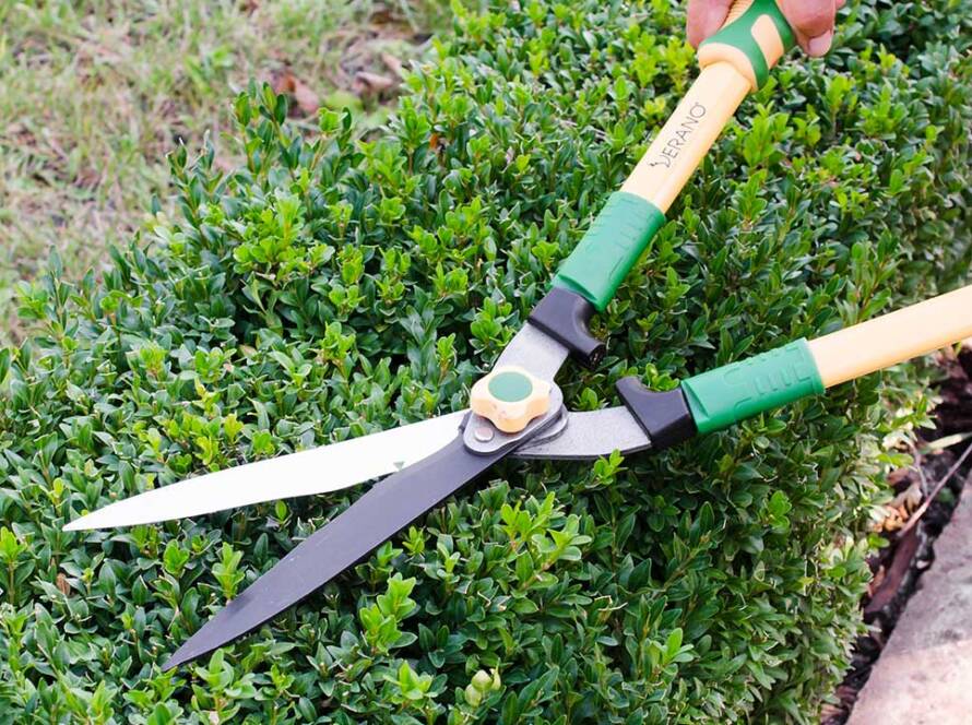 servicio de jardinería Crealan