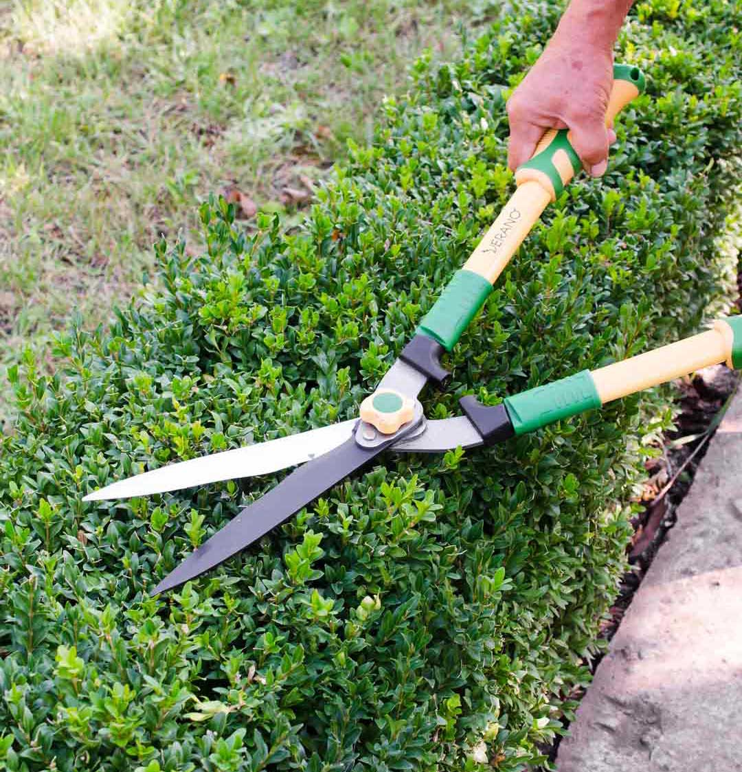servicio de jardinería Crealan